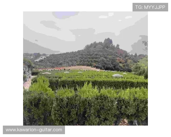 六合彩线上开户流程详解帮助玩家轻松开启线上投注新体验 六合彩线上开户流程详解帮助玩家轻松开启线上投注新体验