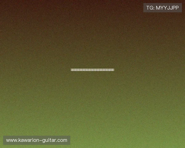 澳门新濠天地官网娱乐项目介绍，丰富多彩的娱乐体验等你探索